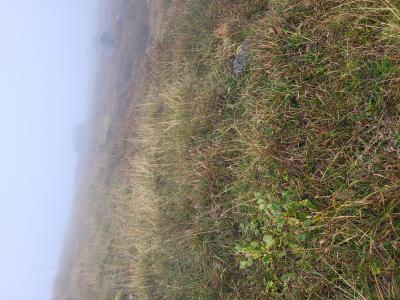 HABITAT